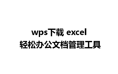 wps下载 excel 轻松办公文档管理工具