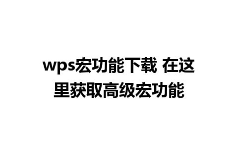 wps宏功能下载 在这里获取高级宏功能