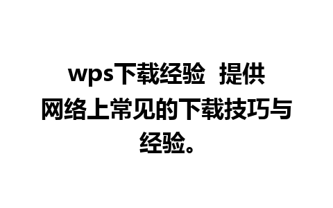 wps下载经验  提供网络上常见的下载技巧与经验。