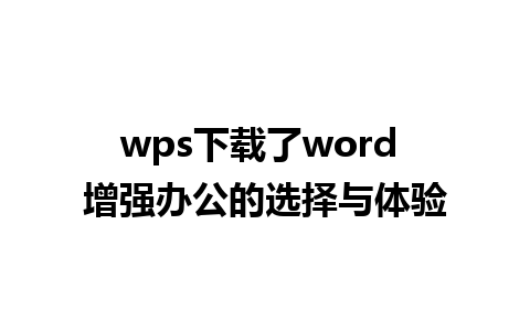 wps下载了word 增强办公的选择与体验