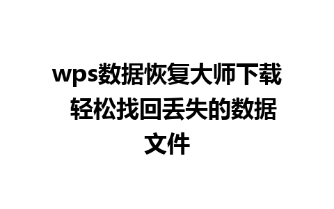 wps数据恢复大师下载  轻松找回丢失的数据文件