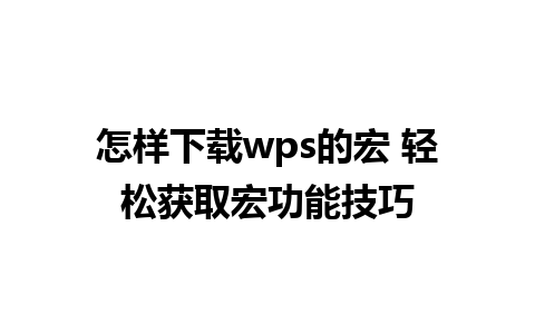 怎样下载wps的宏 轻松获取宏功能技巧