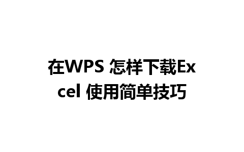 在WPS 怎样下载Excel 使用简单技巧