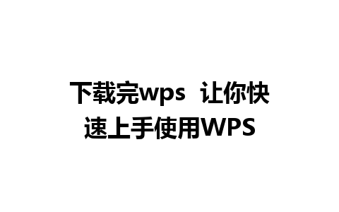 下载完wps  让你快速上手使用WPS