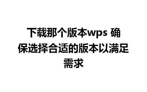 下载那个版本wps 确保选择合适的版本以满足需求