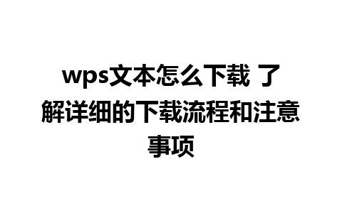 wps文本怎么下载 了解详细的下载流程和注意事项